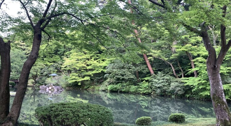 lake and trees in a garden